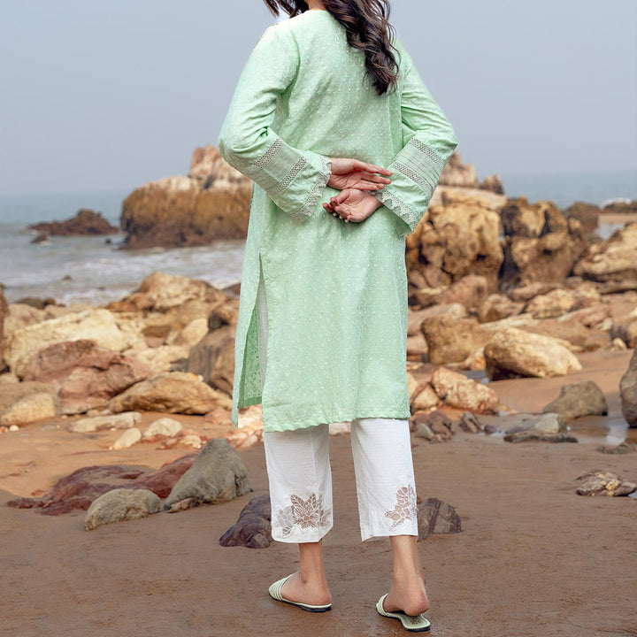 1PC-Embroidered Chikankari shirt PS4089