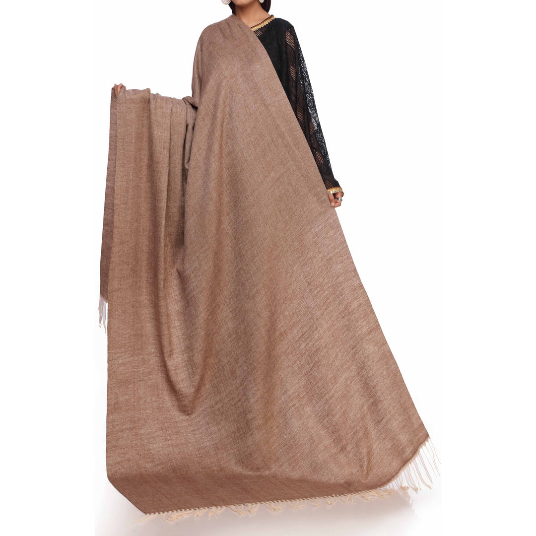 Brown Plain Shawl PW2700