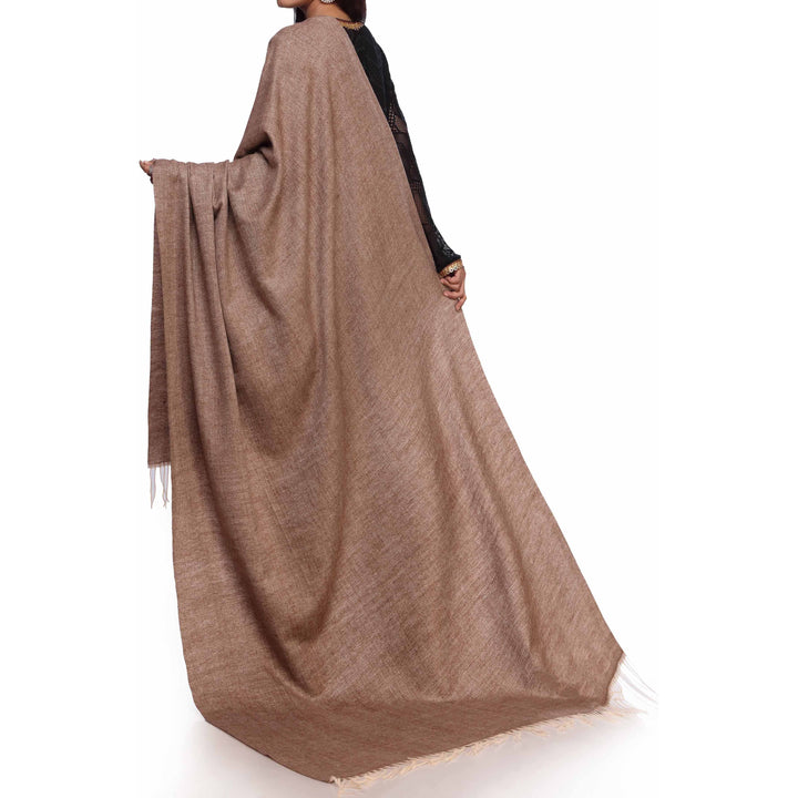 Brown Plain Shawl PW2700