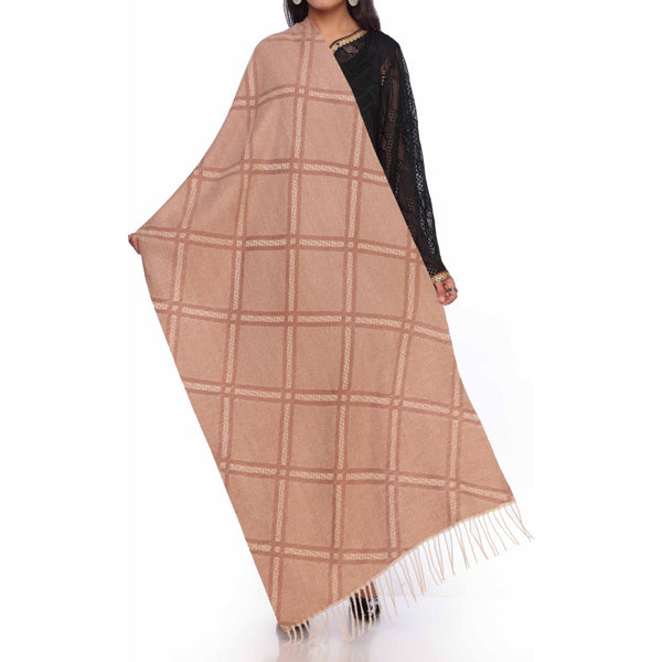 Khaki Cross Check Stole PW2712