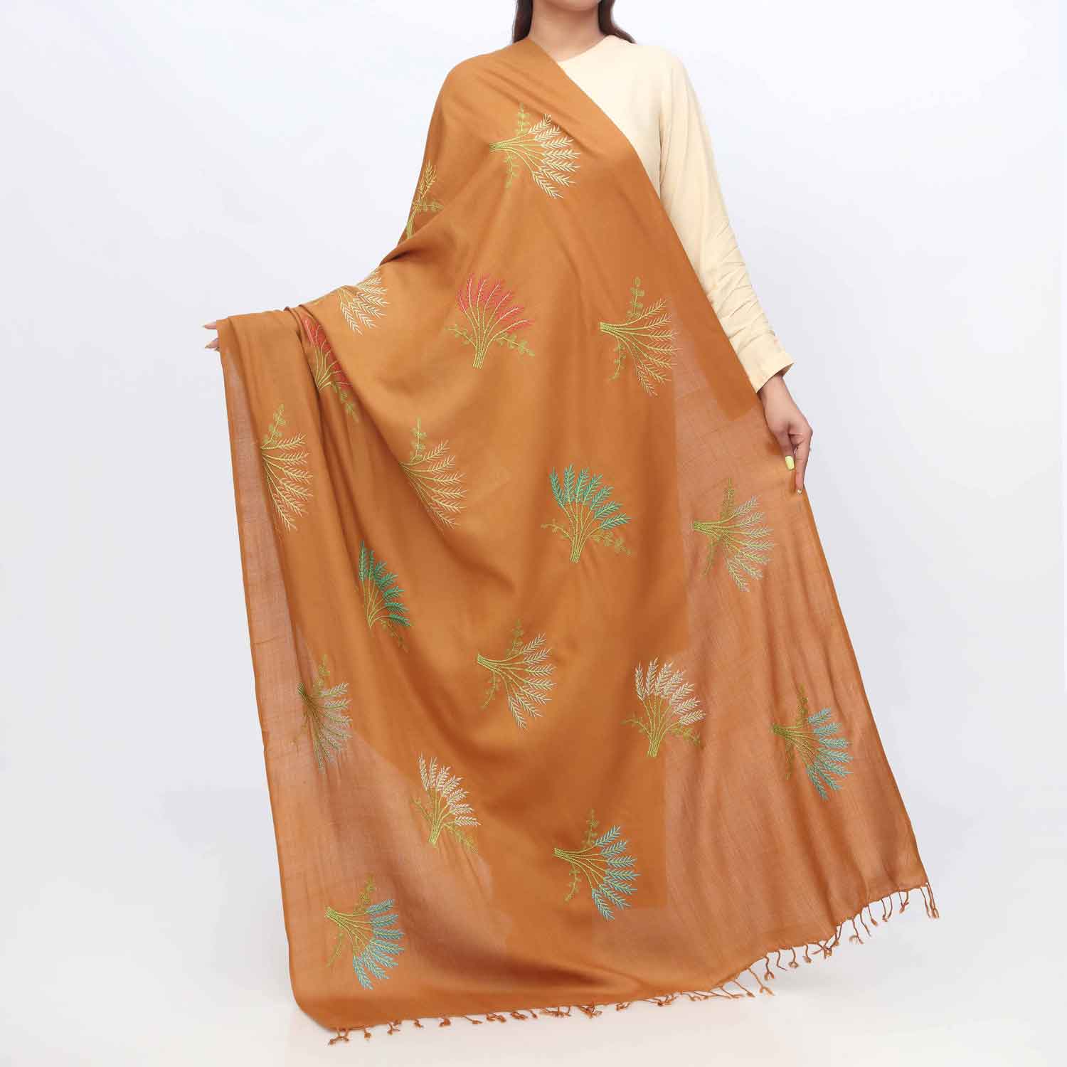 Brown Embroidered Winter Shawl PW3713